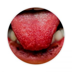 KD CPG mucosal changes